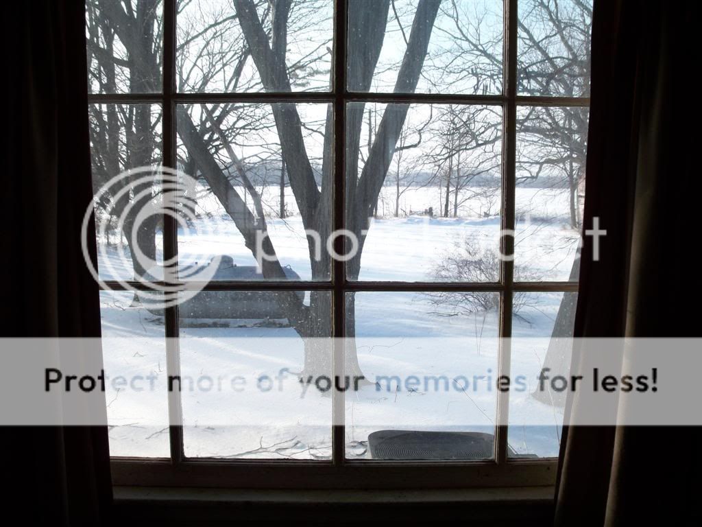 view.jpg