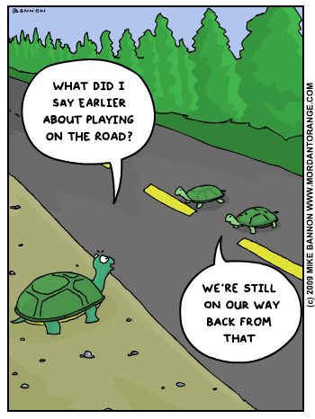 2009-06-30-turtle.gif