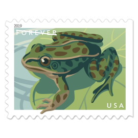 Frogs