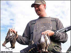 P2_h_col_Sutton_snipe1.jpg