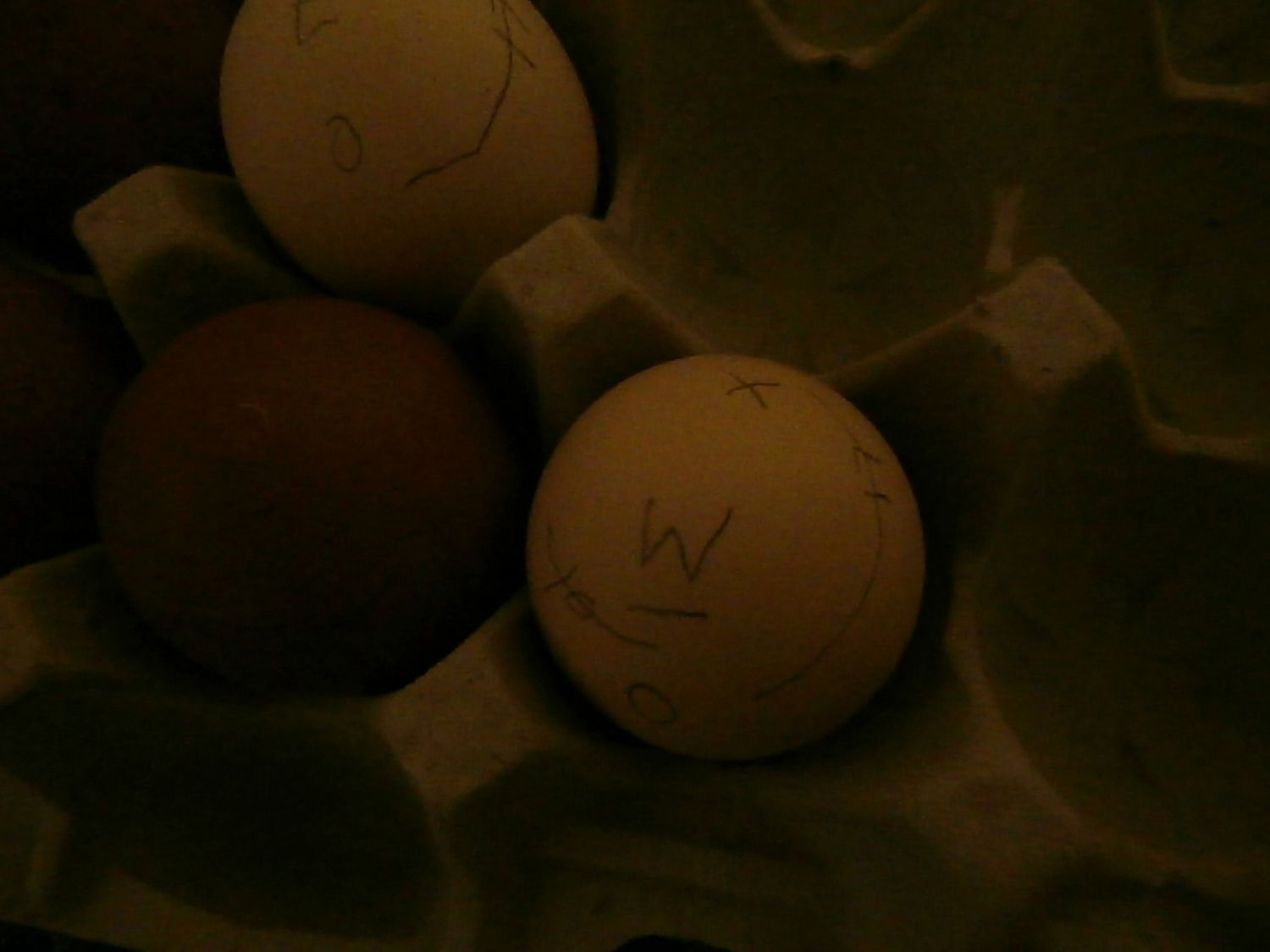 50x50px-ZC-91f85058_eggw2.jpeg