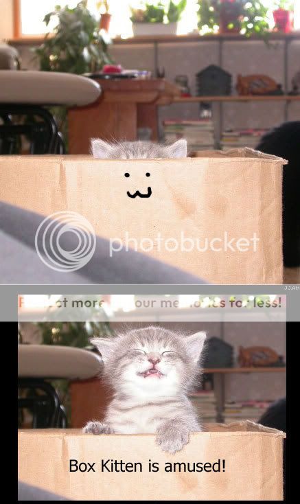 cute.jpg