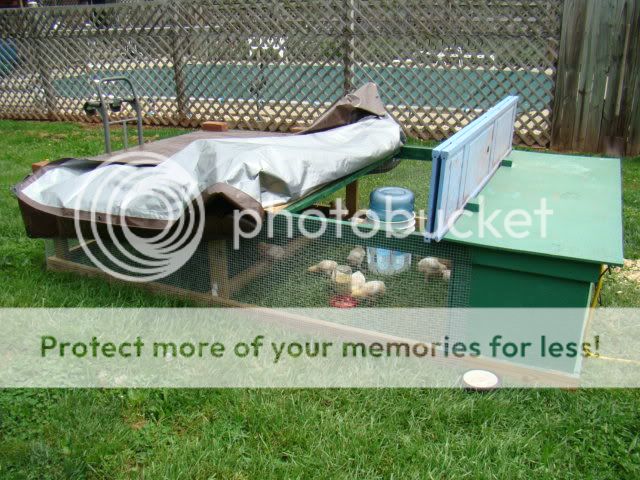 DSC02584.jpg
