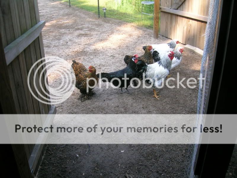 DSCN2786.jpg