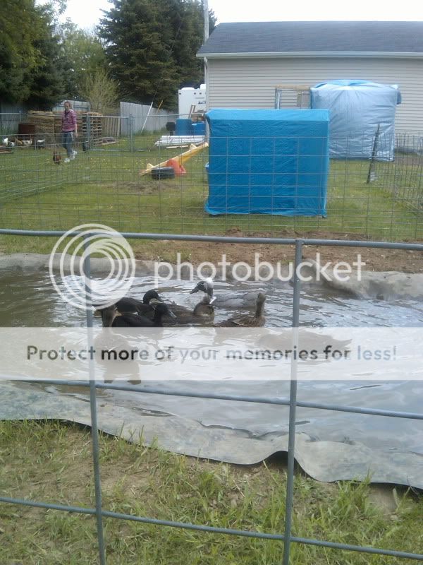 IMG00029-20090510-1419.jpg