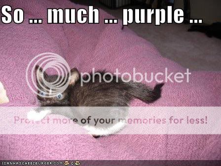 purple.jpg
