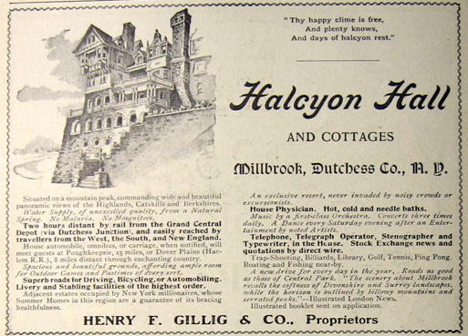 halcyon.jpg