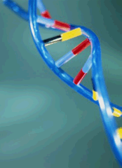 Helix_Model_small.gif