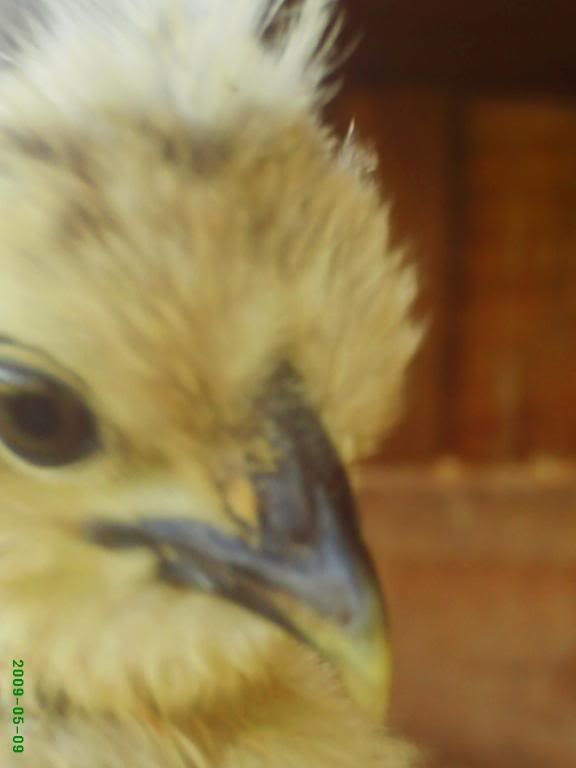 PHTO0287.jpg
