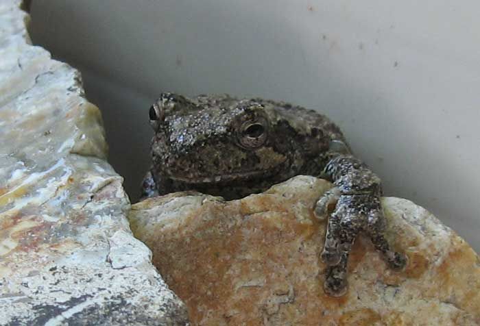 RockMe081909.jpg