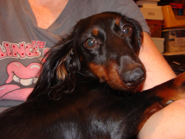 personal2%20093.jpg