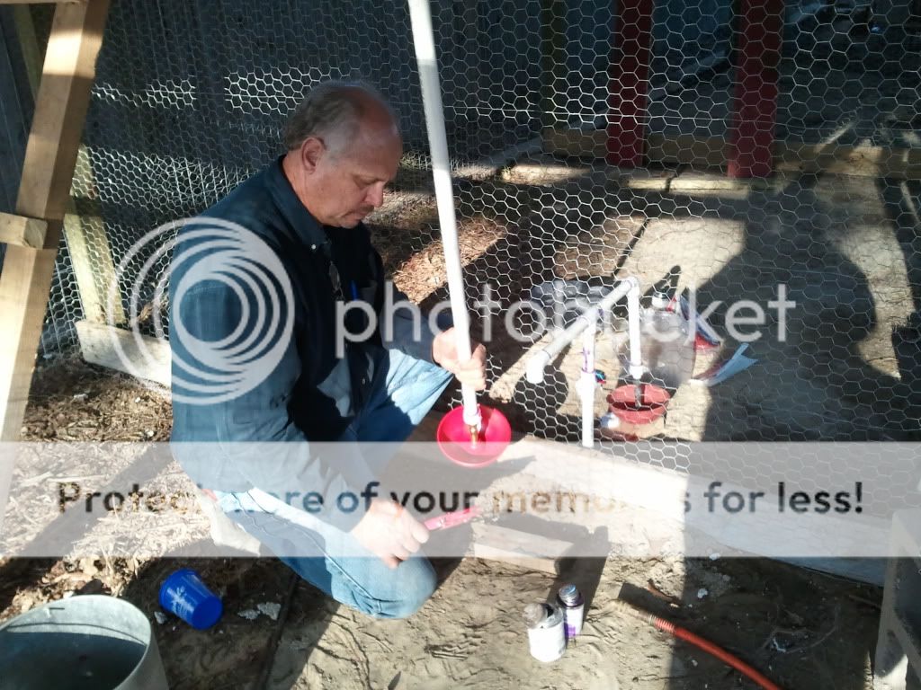 2011-03-11162303.jpg