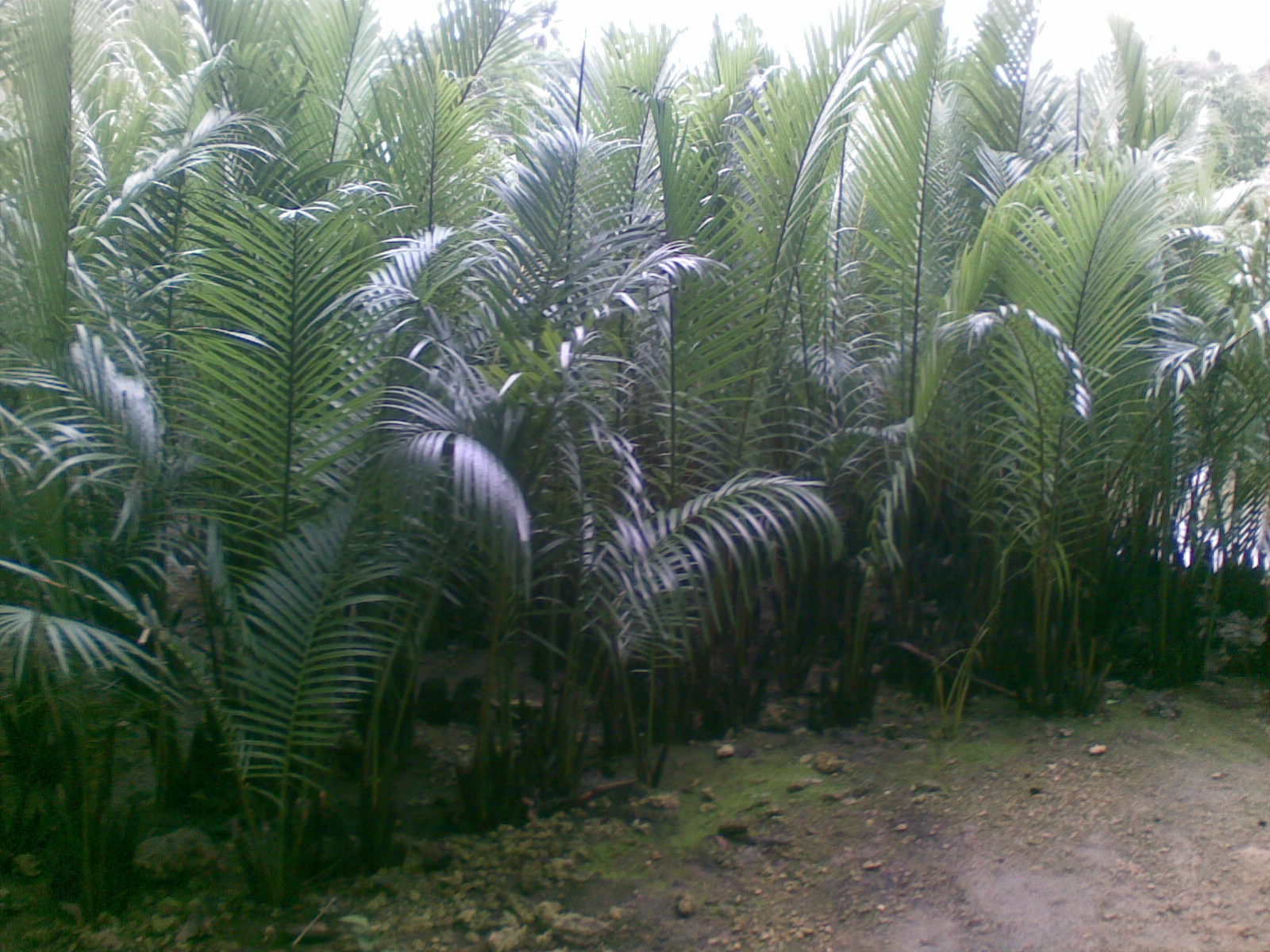 28102010(053).jpg