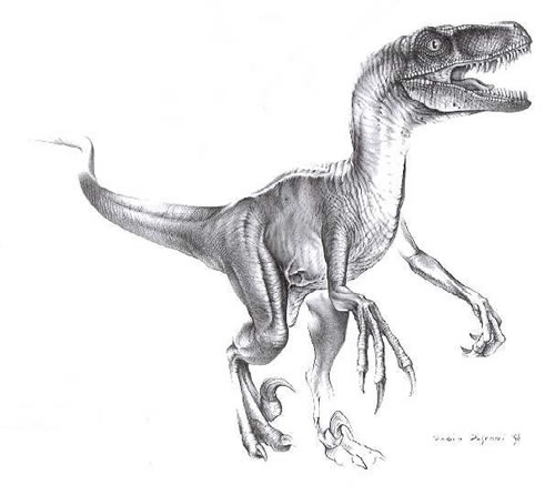 velociraptor_fp.jpg