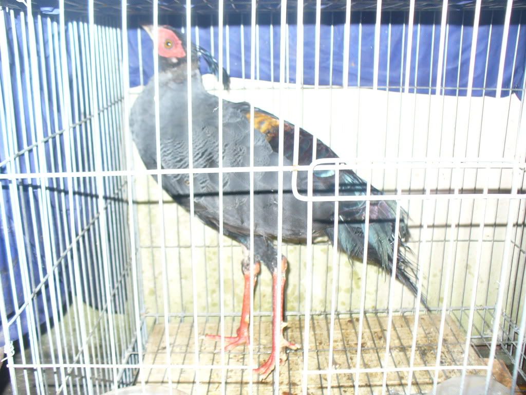 P1000789.jpg