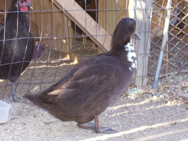 100_2386.jpg