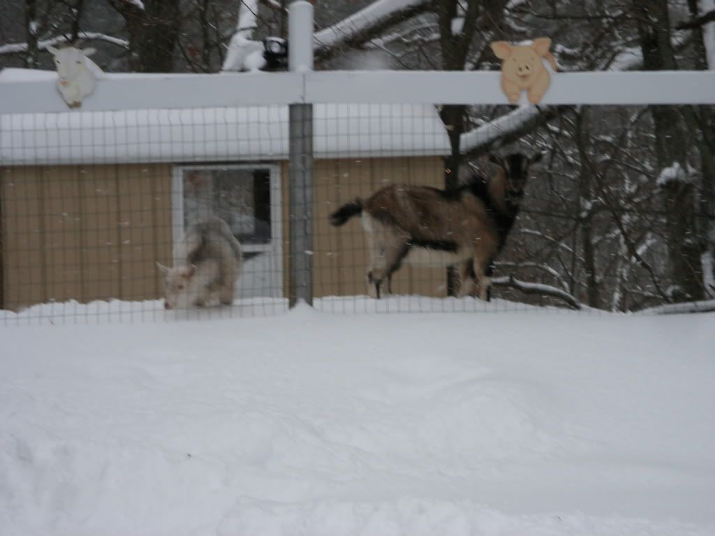 2008_12200017.jpg