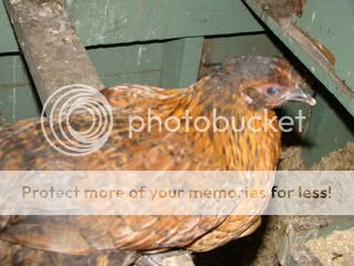 DSC04842.jpg