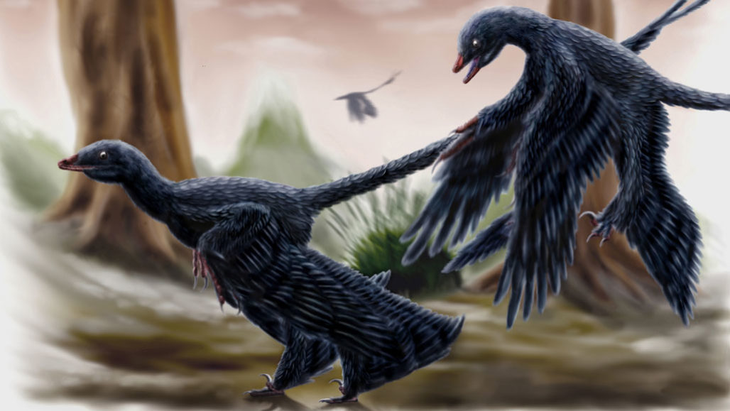 071620_cg_microraptor_feat-1028x579.jpg