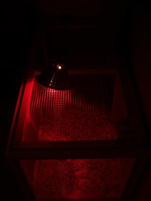 100_1163.jpg