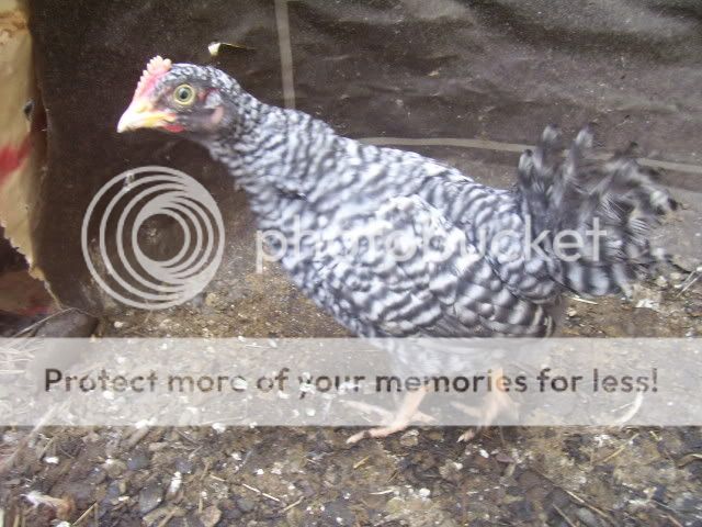 100_2902.jpg