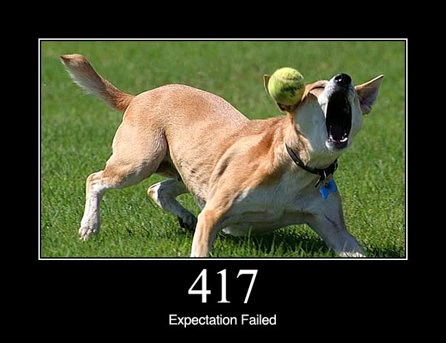 417.jpg