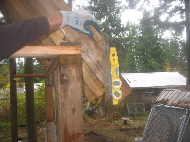 100_0012-16.jpg