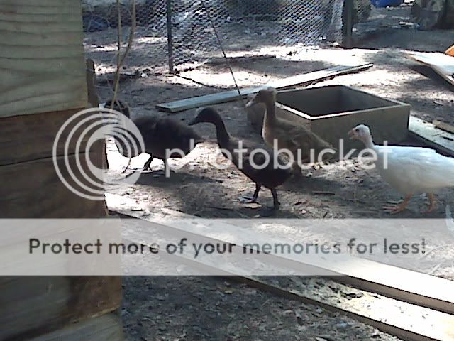 IMG01575.jpg