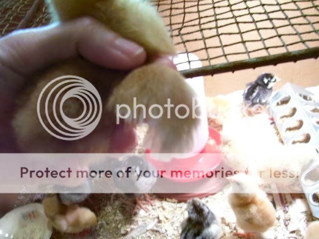 100_3399.jpg
