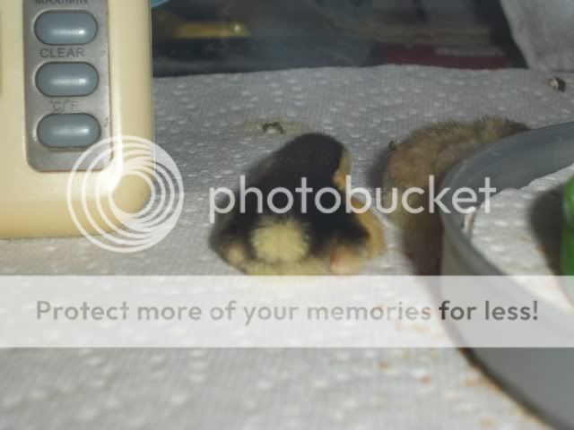 100_5800.jpg