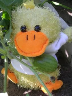 Garden5.jpg