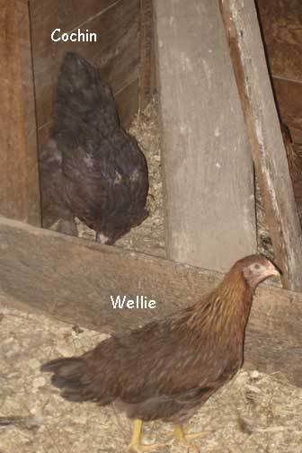 labeled-Daria--Esme.jpg