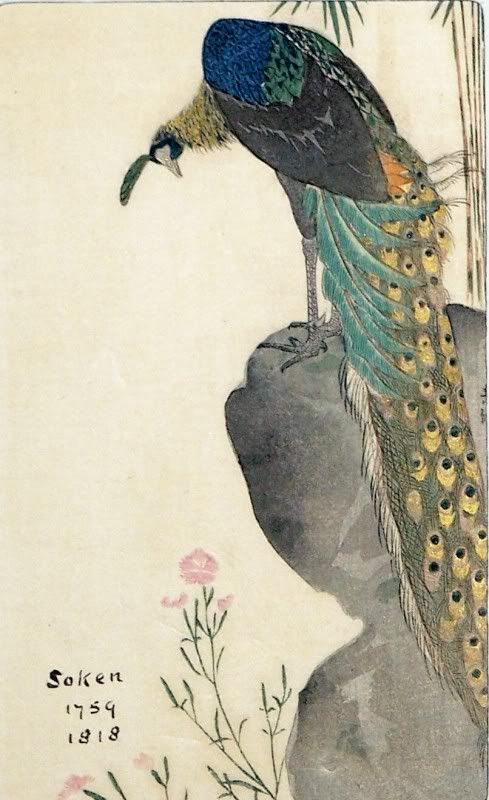 JapanJavanesepeacock.jpg