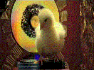 plmkp4r.gif