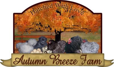 AutumnBreeze.jpg