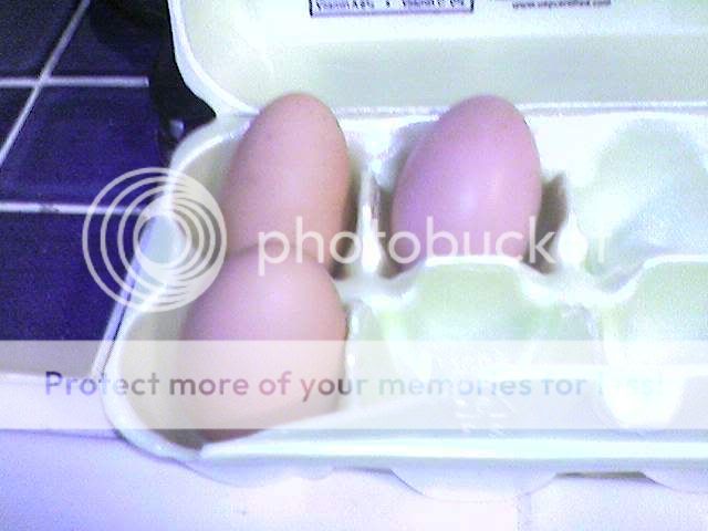 0712081525.jpg