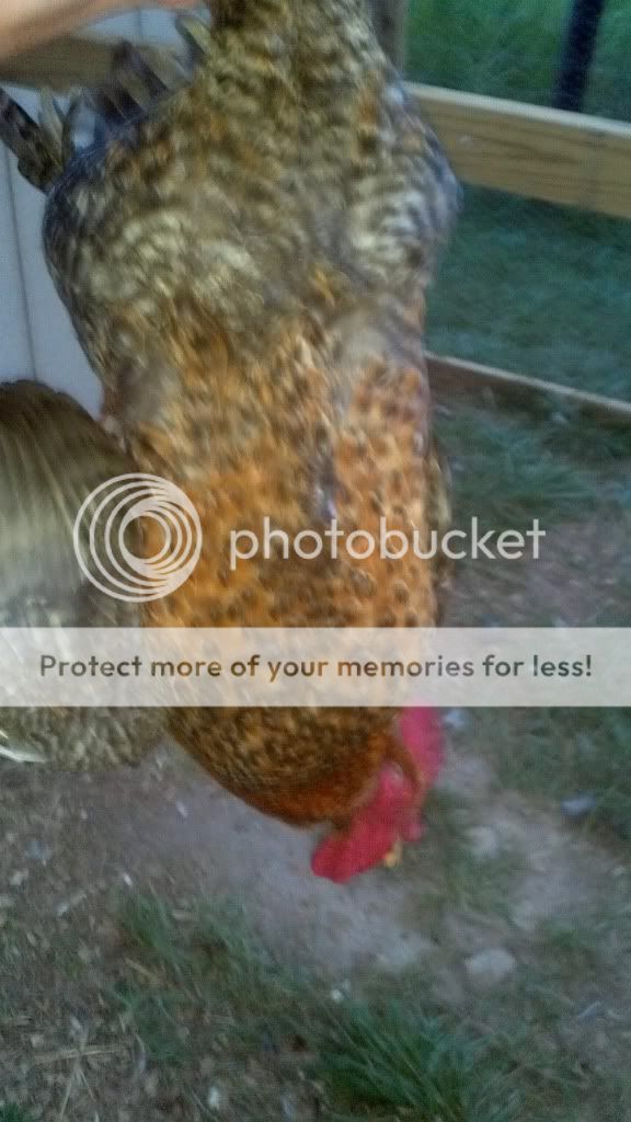 2011-08-23_20-27-58_377.jpg