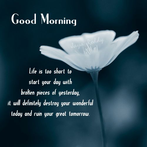 a0369f7847f56daa0cdbe3a02c5818a0.jpg
