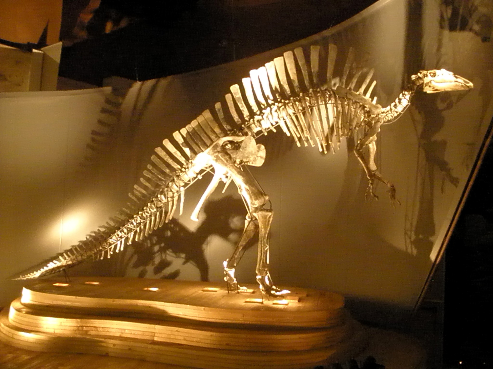 Ouranosaurus_-_full.JPG