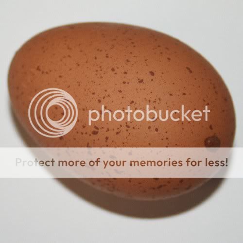 1Egg.jpg