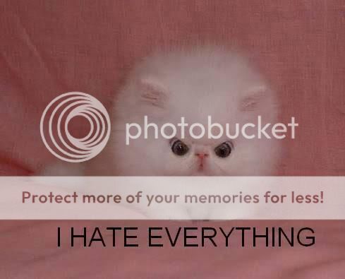 ihateeverything.jpg