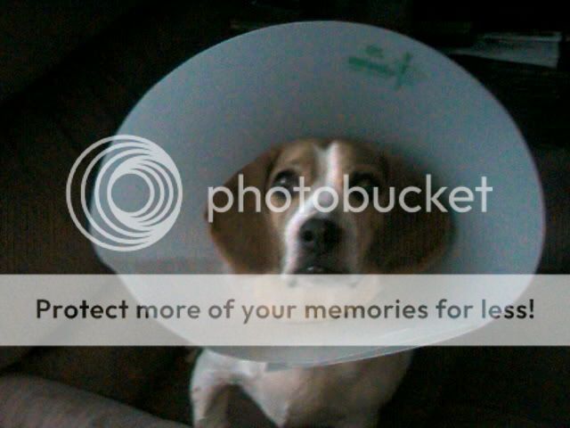 Picture001.jpg