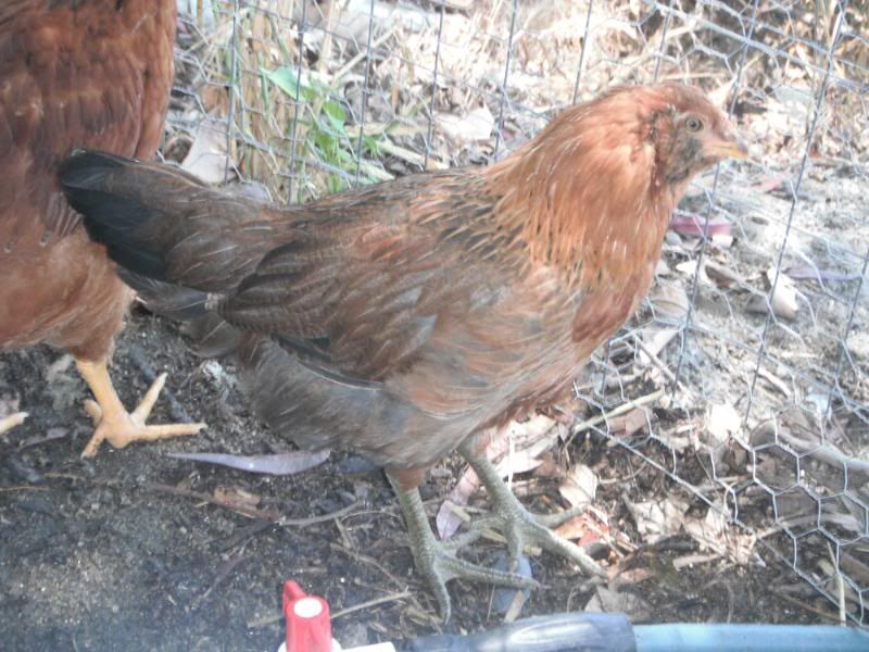 DSCF1222.jpg