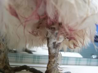 100_1472.jpg