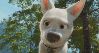 BoltAnimation.gif
