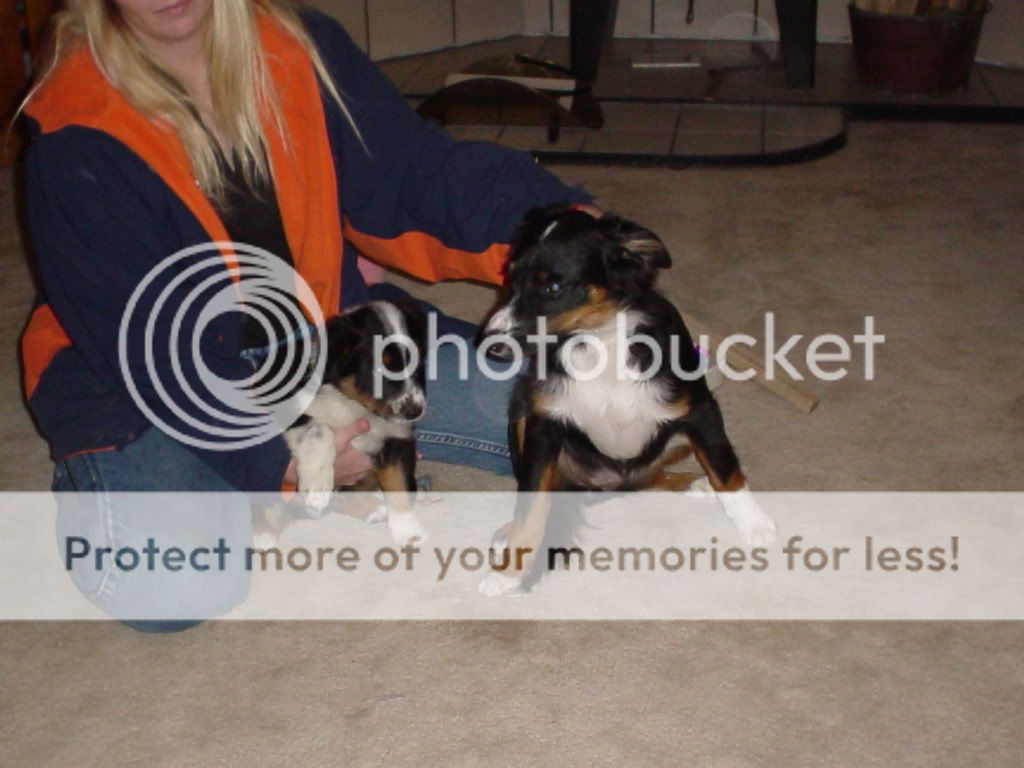 puppypics063.jpg