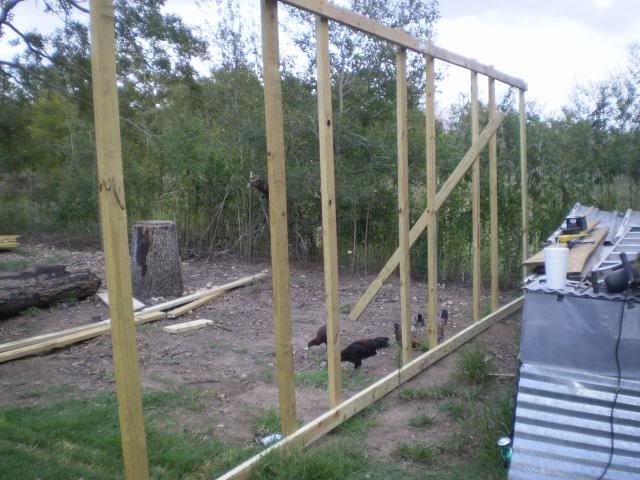P8220970_zps2963cd84.jpg