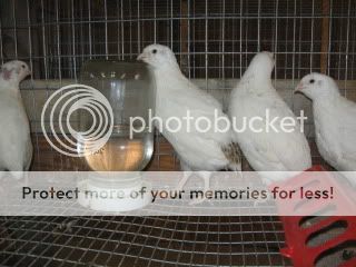 IMG_7145.jpg