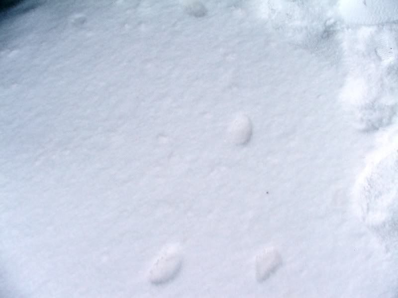 DSCF7950.jpg