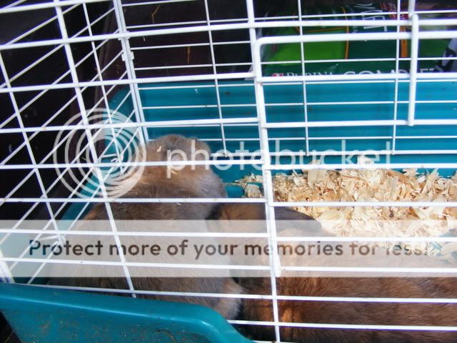 Picture008.jpg